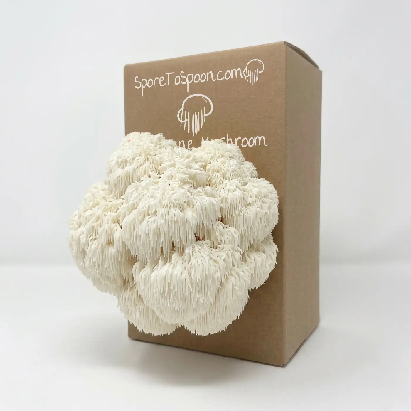 Lion's Mane Grow Kit